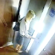 A security camera in an elevator captures a blonde girl desperately having to poop while waiting to get to her floor. She ends up shitting on the floor as the security guards laugh. Another woman enters the elevator and smells the shit. Over 2 minutes.